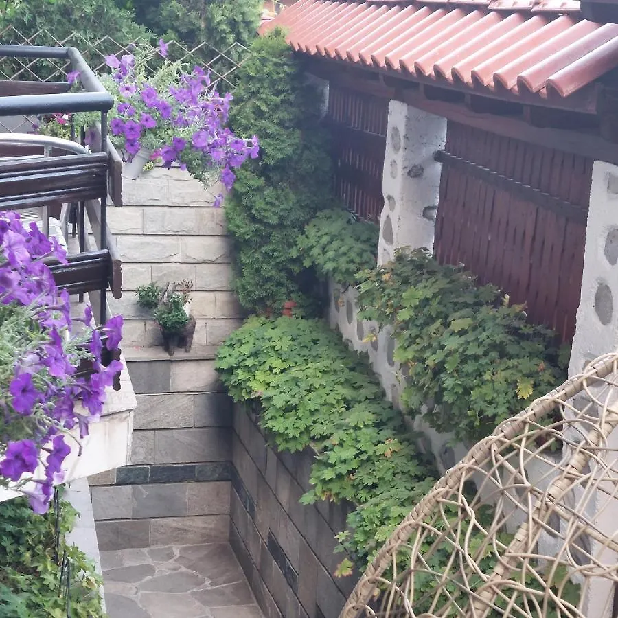 Guest House Planinski Zdravets Bansko 3*,