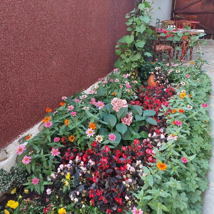 ***  Guest House Planinski Zdravets Bansko Bulgaria