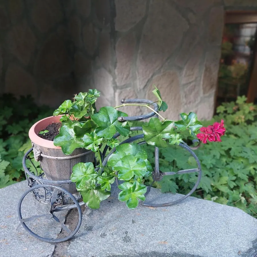 Guest House Planinski Zdravets Bansko