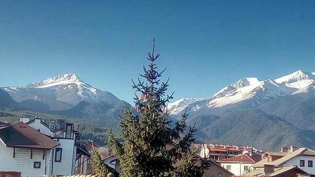 ***  Guest House Planinski Zdravets Bansko Bulgaristan