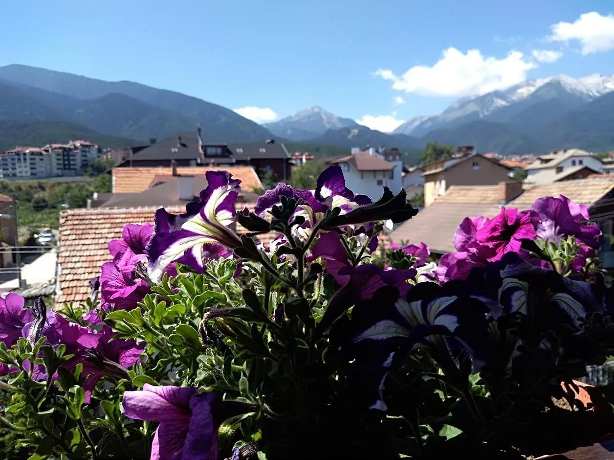 ***  Guest House Planinski Zdravets Bansko Bulgaristan